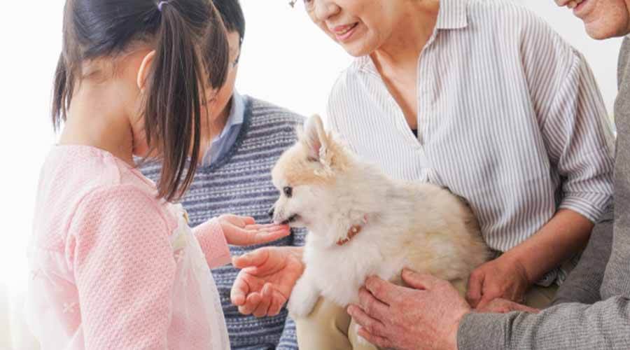 犬を可愛がる小さい子供
