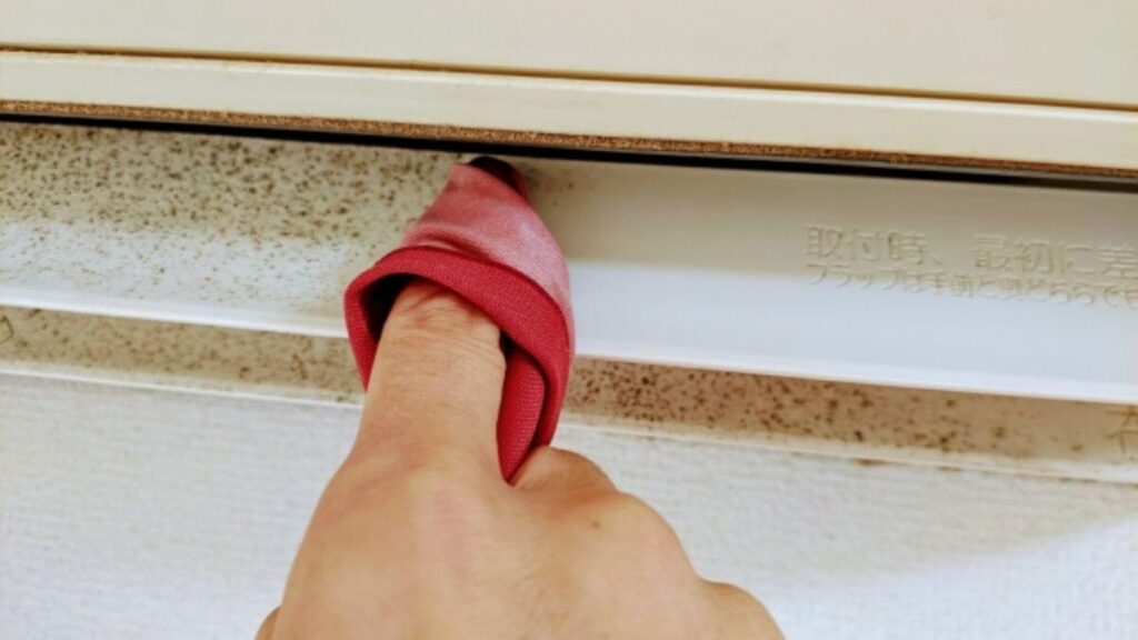エアコン内のカビの様子